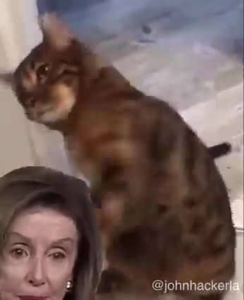 Nancy's turn to get the "Kitty smackdown"