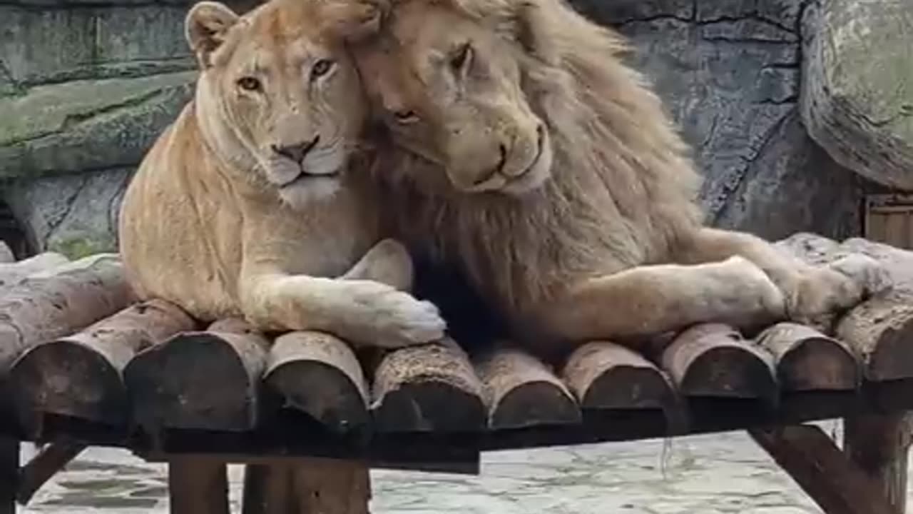 Not Today