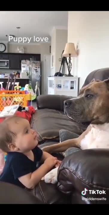 Cute baby animals Videos Compilation,shorts