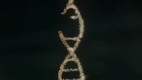 Science