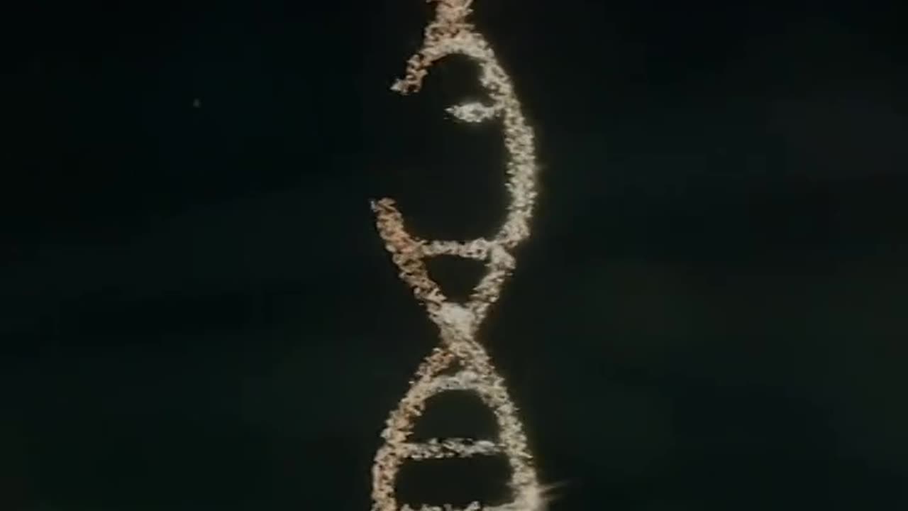 Science