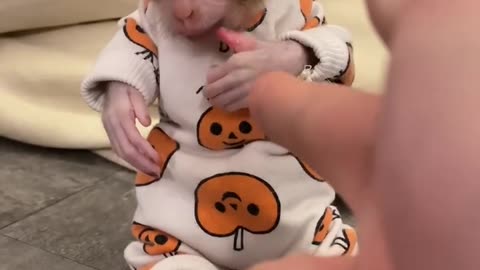 Tag someone who needs to see this! 🐕🐾" The funniest pet fail you'll see today 🐾💖