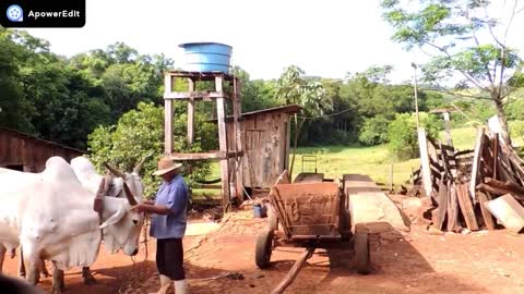 Transporte Rural - Rural Transport