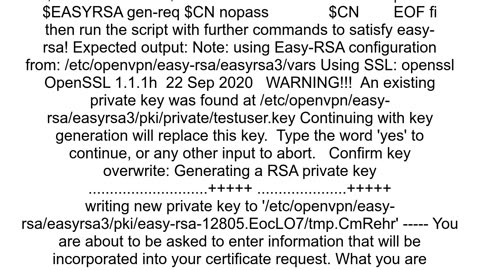 Bash pass typed yes to EasyRSA genreq
