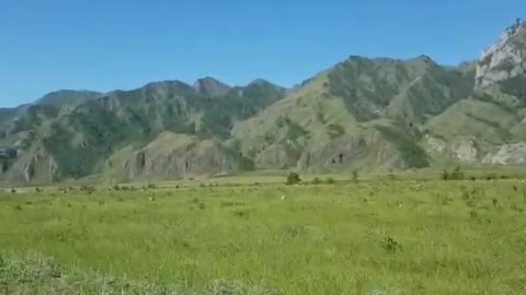 Foothills Of Altai