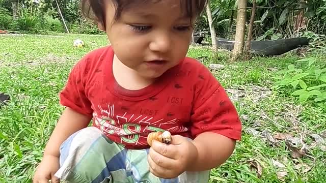 Eating Chonta Curo (Amazonian jungle grubs)