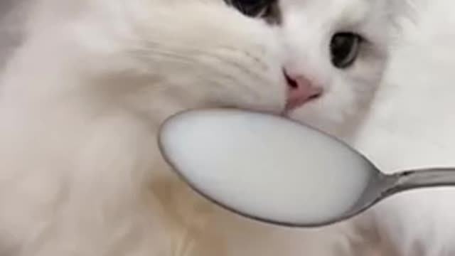 Yummy 🤤