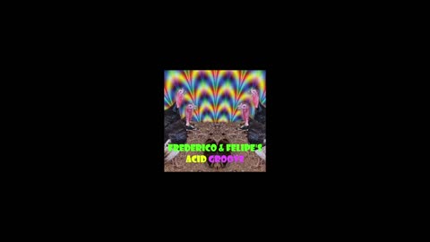 Dool - Frederico & Felipe's Acid Groove