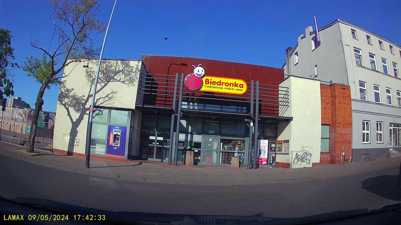 Biedra 003 przód