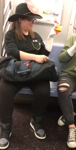 Two people chicken hand puppets on subway train