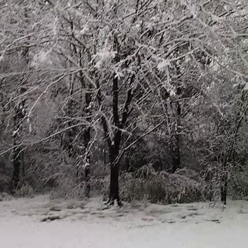Snow in Texas creates white wonderland