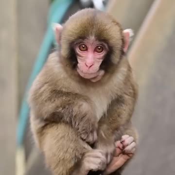 Where are my Easter eggs? 😔