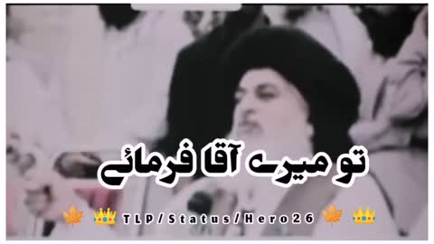 بلنڈگوں کی حفاطت 😡