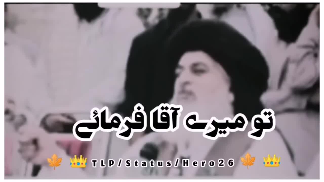 بلنڈگوں کی حفاطت 😡