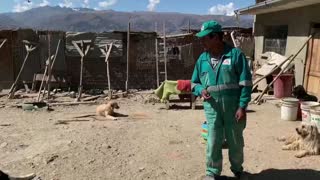 El ángel boliviano que salva animales abandonados en la basura