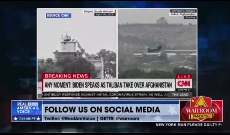 MSM trashing Biden? For ratings?