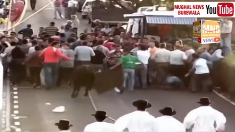 Compilation of Dangerous Bull Fight Accidents | Funny and Fortunate People Fail in Videos