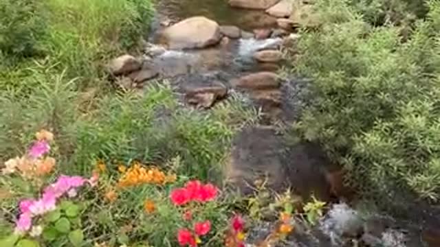 River Water Flowing Surrounding with a Beautiful Nature