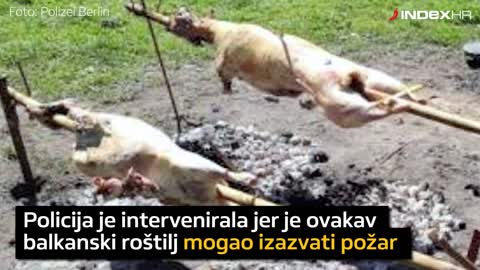Bosanci u berlinskom parku okrenuli 12 janjaca