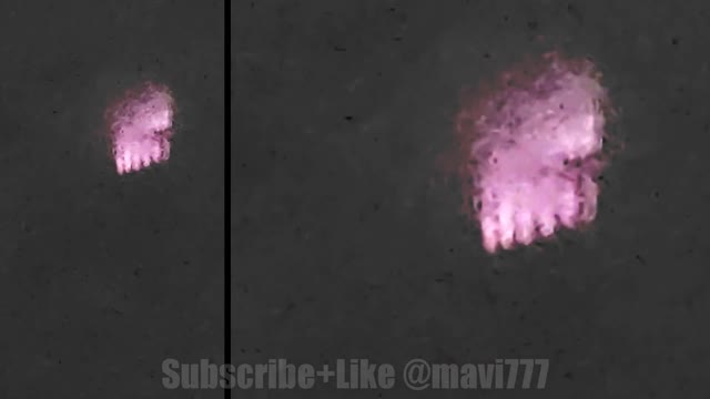 Strange object (UFO) appeared in the sky in Davie Florida
