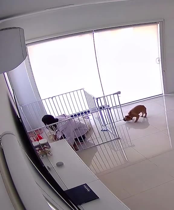 Let’s see how you like the cage 😂🤣