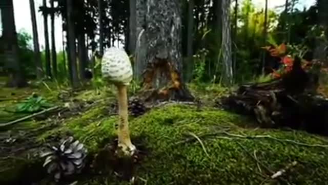 Time with God - November 27