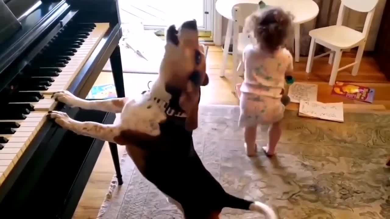 Funniest Animals Videos - Best Cute Cats😹 and Crazy Dogs🐶 Videos 2022! | FUNNY ANIMALS' SOCIETY