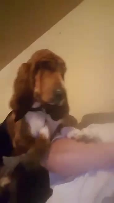 HEY HEY you want to play