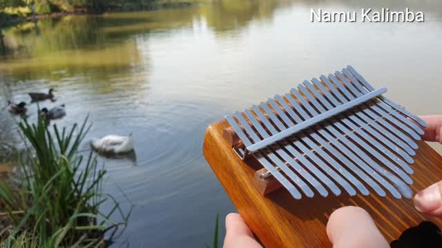 Swan and kalimba