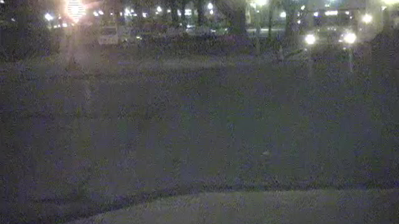 0784KIO00K23NJ-CNW_2021-01-06_03h40min00s360ms.mp4