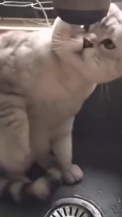 NOT TO LAUGH_how to drink water 1_ Funny Videos