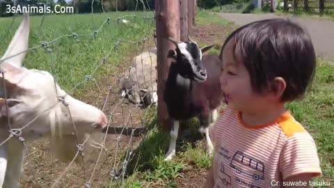 Funniest Animals Scaring People Reactions of 2021 Weekly Compilation