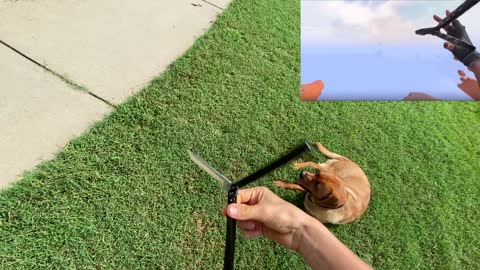Valorant balisong combo (butterfly knife) irl