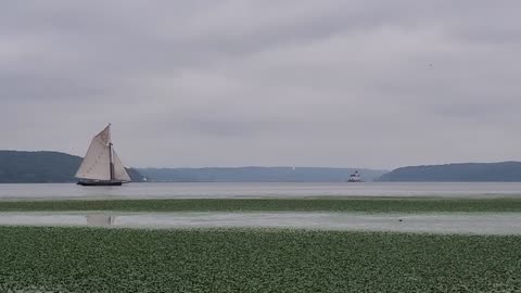 Hudson sailing