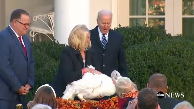 ENJOY NICE COMEDY VIDEO