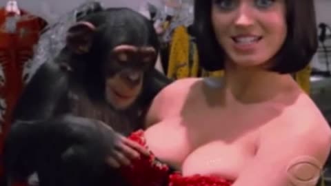 KATY PERRY & A CHIMPANZEE | Amazing Flirt | Better Than A Man | WOW