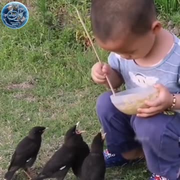 Baby give foods to birds
