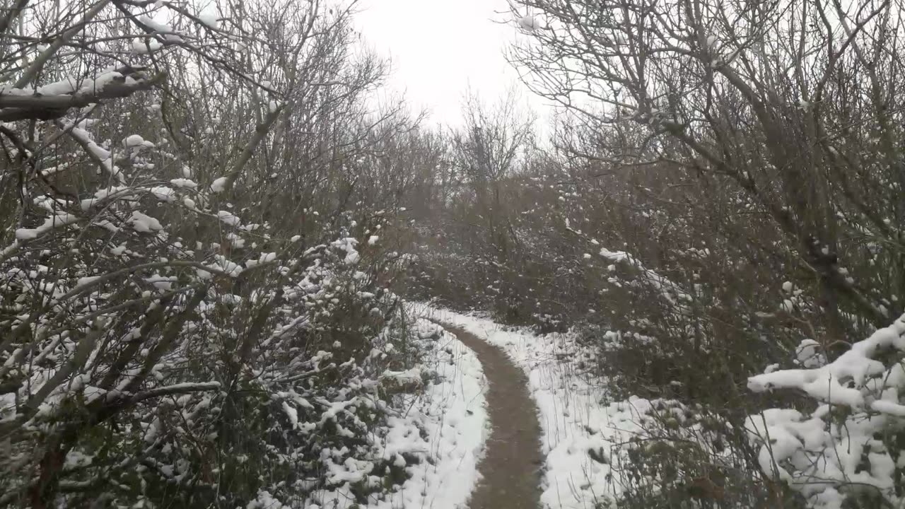 Walk through the winter cemetery