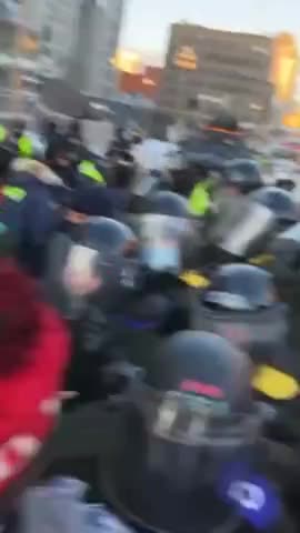 NWO Troops on Horseback Trample Protestors (language)