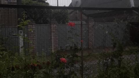 Deserted street in the rain