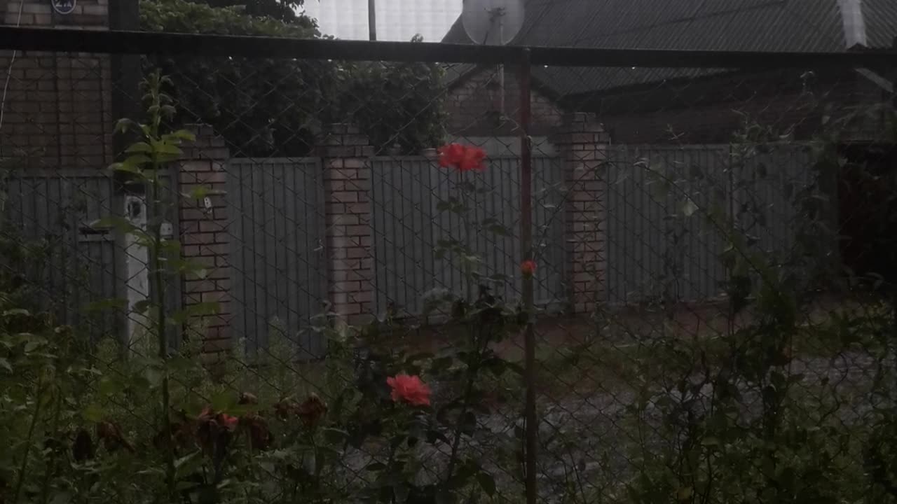 Deserted street in the rain