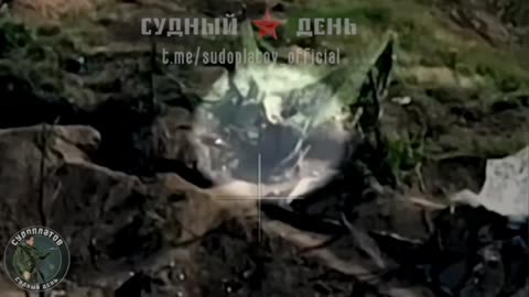 RAF Footage Of Ukrainian War