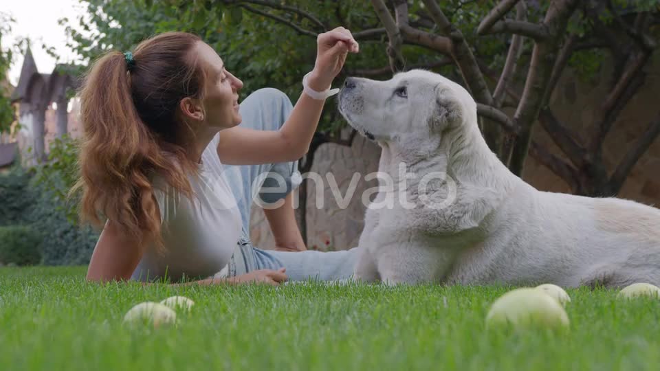 Pleased woman cying on green grass kissing bog