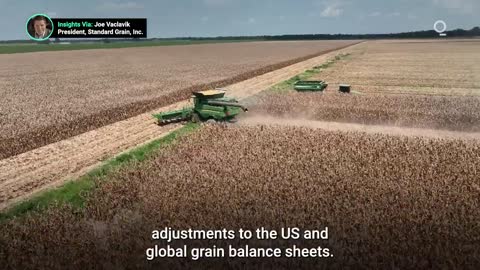 Global Grain Markets Brace for a Tightening