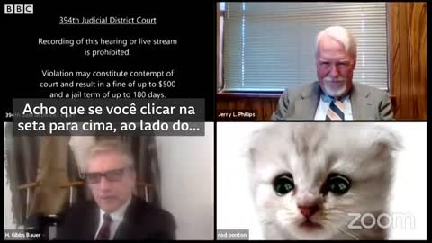 Lawyer 'turns' cat during session with judge in US