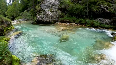 bois-paysage-montagnes-nature