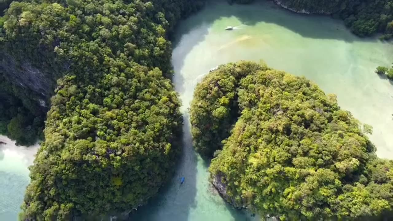 Phi Phi Island