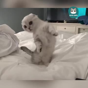 You are my lucky kitten 🥰