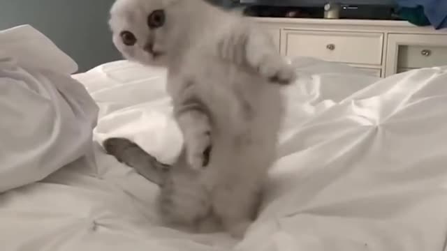 You are my lucky kitten 🥰