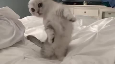 You are my lucky kitten 🥰